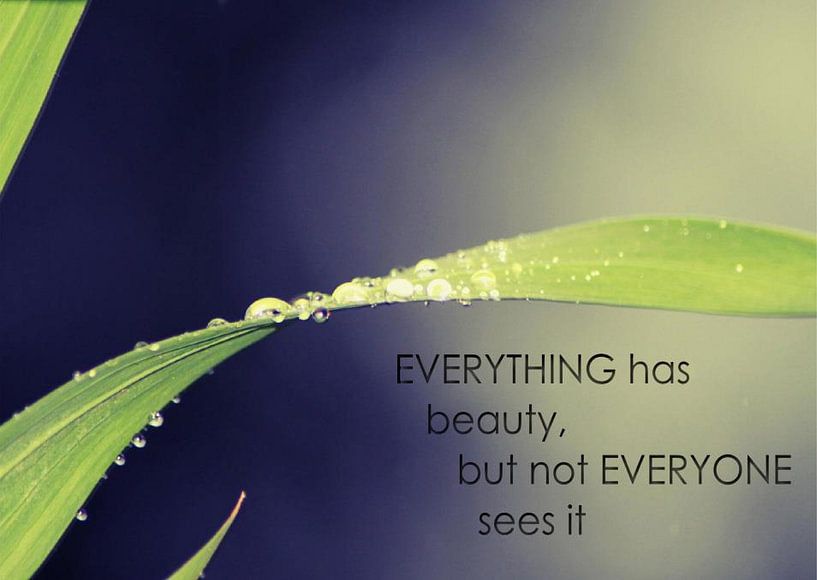 Everything has beauty von Iris van Bokhorst