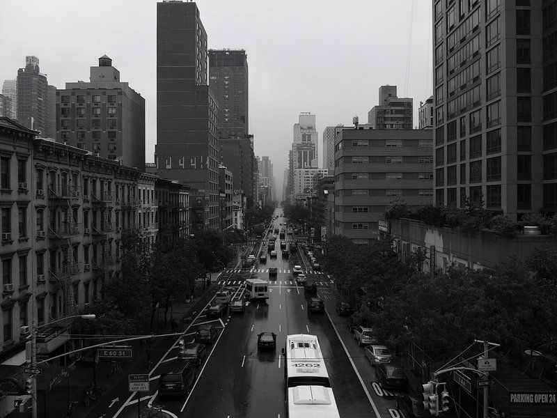 Rainy day - 1st Avenue, New York City by Justin van Schaick