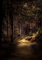 Lemelerberg hiking trail