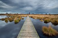 La promenade des Hautes Fagnes.