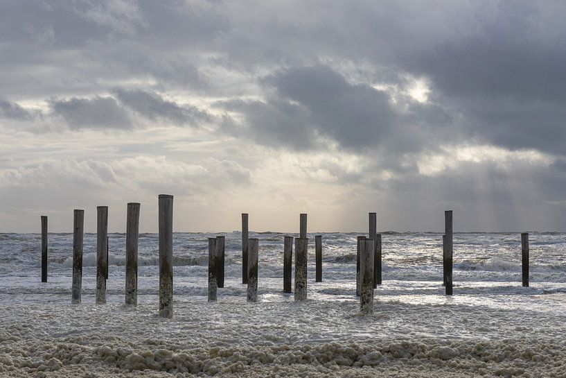 Palendorp Petten par Johan Mooibroek