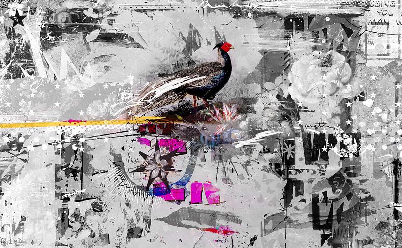 Super-Biodiversität von Teis Albers