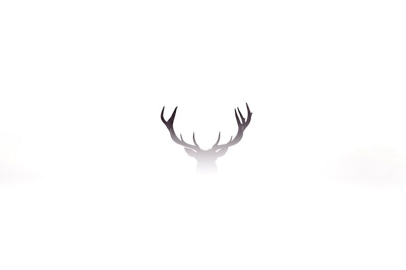 The Mystique of Antlers: A Silent Winter Dream by Alex Pansier