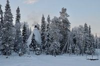 Tipi in Lapland