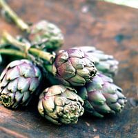 artichoke15
