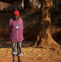 Ne jamais déplacer un vieil homme/arbre
