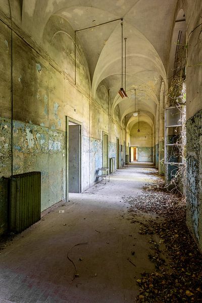 La lumière par William Linders