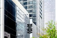 Sprießender Baum im Frühling vor der Fassade des MoMA in New York.