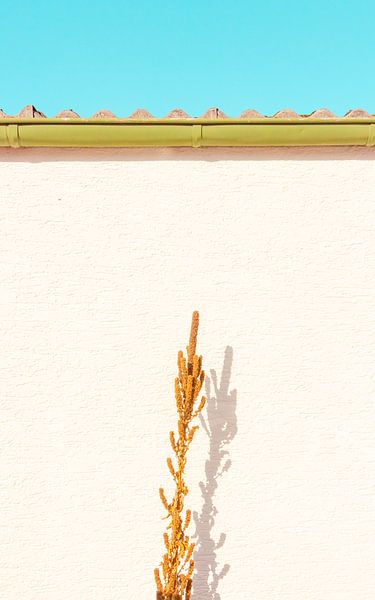 Miami Summer Vibes von Thomas Procek