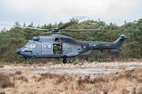 Practice on the moor 2