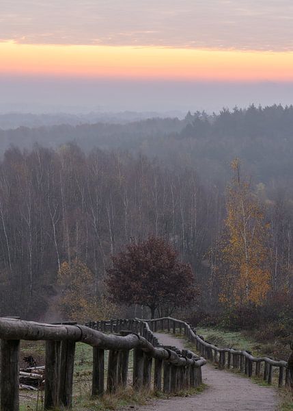 staircase of Kwintelooijen at dawn by Tania Perneel