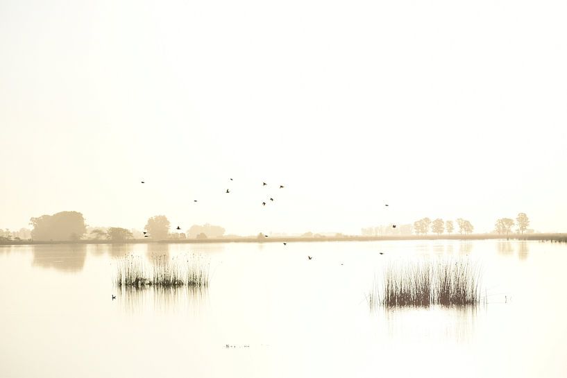 Summer at the lake by Christian Peters