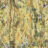 Friedensraum und Regelmäßigkeit