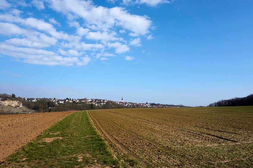 Sonniger Panoramablick auf Felder unter blauem Himmel von creativcontent