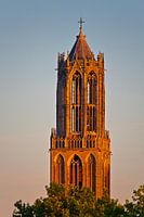 Last sun rays at the Dom Tower in Utrecht