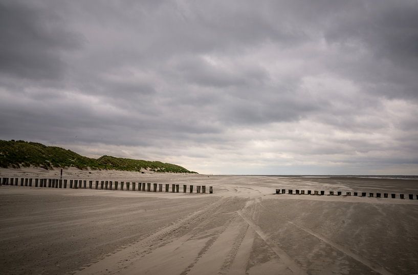 Pile heads on the beach near Hollum on Ameland by Bo Scheeringa Photography