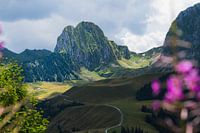 Schwalmeren am Gurnigelpass
