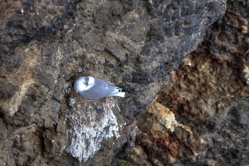 My name is Cliff van BL Photography