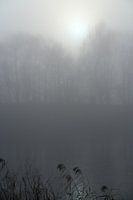 Sonne im Nebel