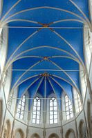 Mariablauw kerkdak, Martinikerk Groningen
