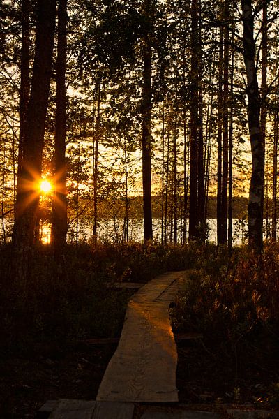 Footbridge to the lake by Anja B. Schäfer