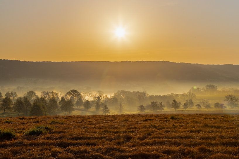 Sonnenaufgang in den Limburger Hügeln mit Bodennebel von Kim Willems