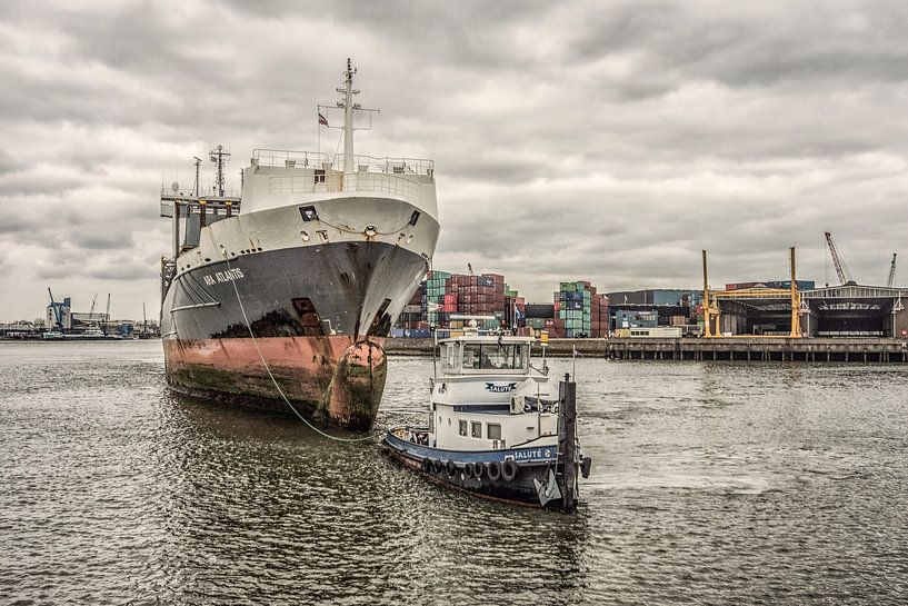 New Maas by Mario de Lijser