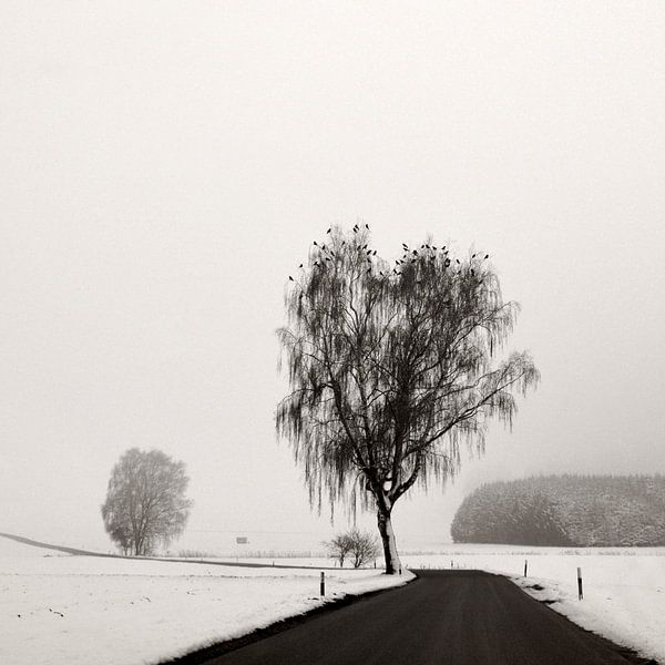 Meeting by Lena Weisbek