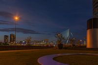 Avondlicht Rotterdam