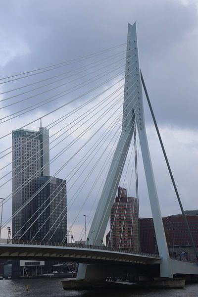 Erasmus-Brücke Rotterdam von Dick Schouten