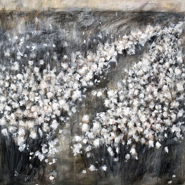 little white by Christin Lamade