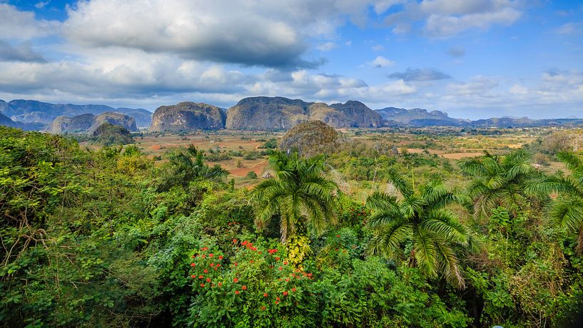 Viñales valley in Cuba von René Holtslag
