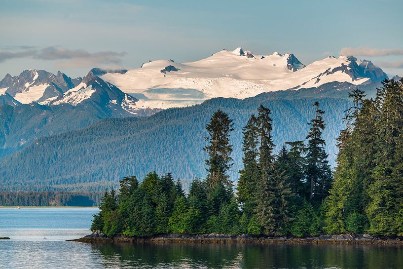 Bewaldete Insel von Denis Feiner