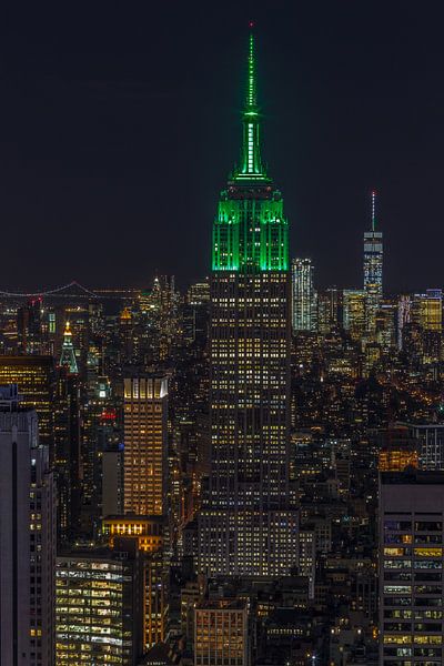 Empire State Building New York by Rene Ladenius Digital Art