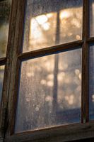 Le soleil brille à travers la fenêtre de l'Hortus Leiden