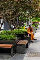 Les rues de New York 03