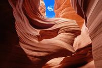 La dame dans le vent