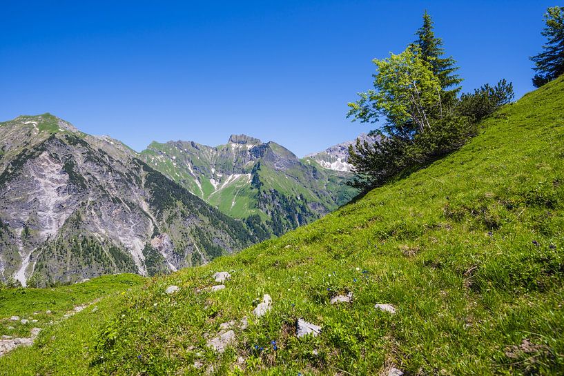 Schneck, 2268m und Großer Wilder, 2379m, Hochvogelgruppe und Rosszahngruppe, Allgäuer Alpen von Walter G. Allgöwer