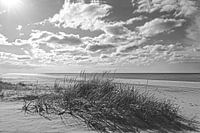 B&W Strände Sammlung Karen van de Kerkhove