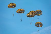 Parachutisten op de Ginkelse Heide