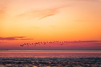 Coucher de soleil sur les Wadden | Pays-Bas