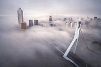 Rotterdam in de mist