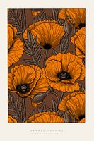 Poppies orange