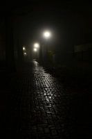 Dark path in the evening fog