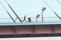 Erasmusbrücke, Rotterdam