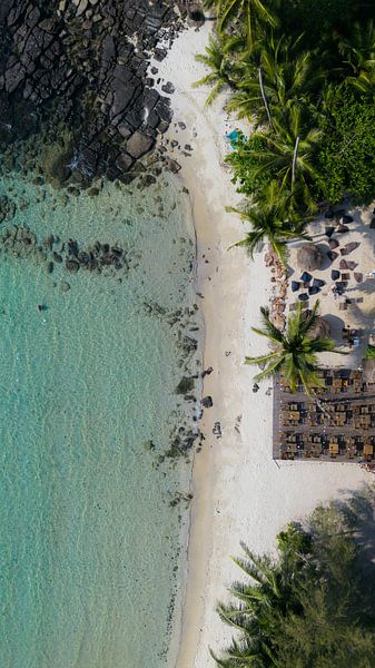 Tropisches Bild von Sonne, Meer, Strand und Palmen von Marit Hilarius