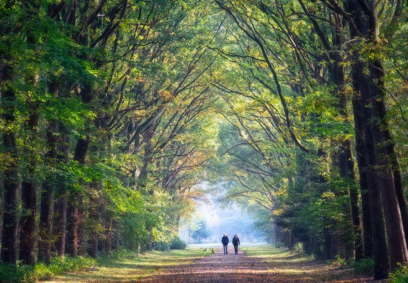 Autumn forest with walkers by Marcel van Balken