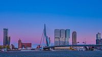 Skyline Rotterdam
