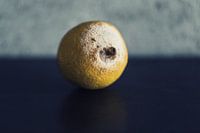 Stilleben einer verschimmelten Zitrone