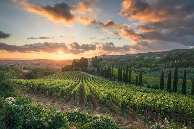 Coucher de soleil à couper le souffle sur les vignobles de Toscane par Stefano Orazzini